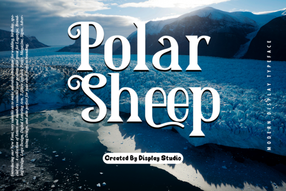 Polar Sheep & Serif: A Brand Designer's Take
